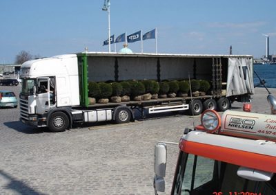 Buksbom plantning ved Geist hovedkontor