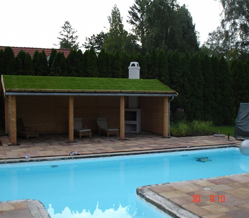 Pool hus lavet af træ med græs på taget